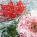 Painterly FAA 14